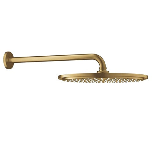 Rainshower Cosmopolitan Shower Head