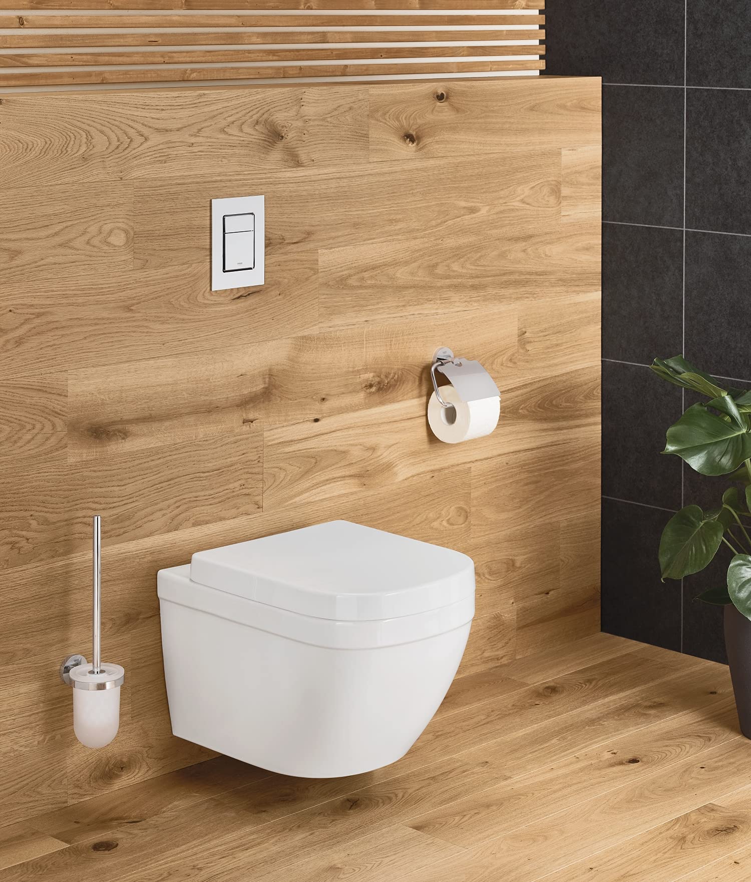 Euro  Wall-hung WC